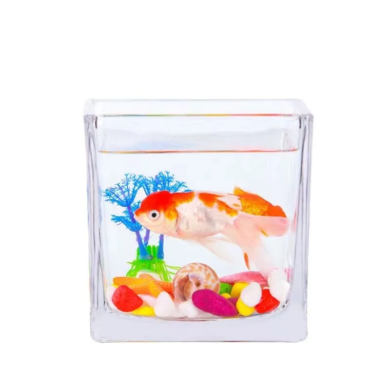 High Clear Candle Jar Square Glass Mini Aquarium Fish Tank For Sale