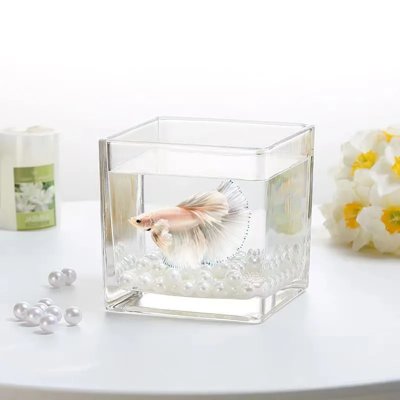 High Clear Candle Jar Square Glass Mini Aquarium Fish Tank For Sale