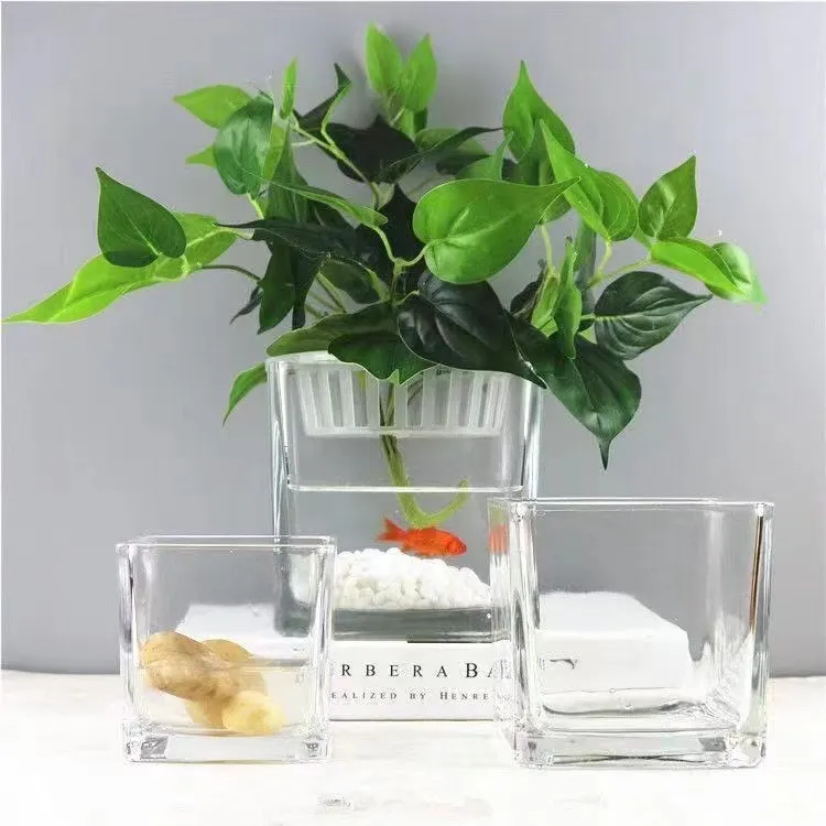 Home Decorative Mini Fish Tank Custom Glass Small Ornamental Aquarium