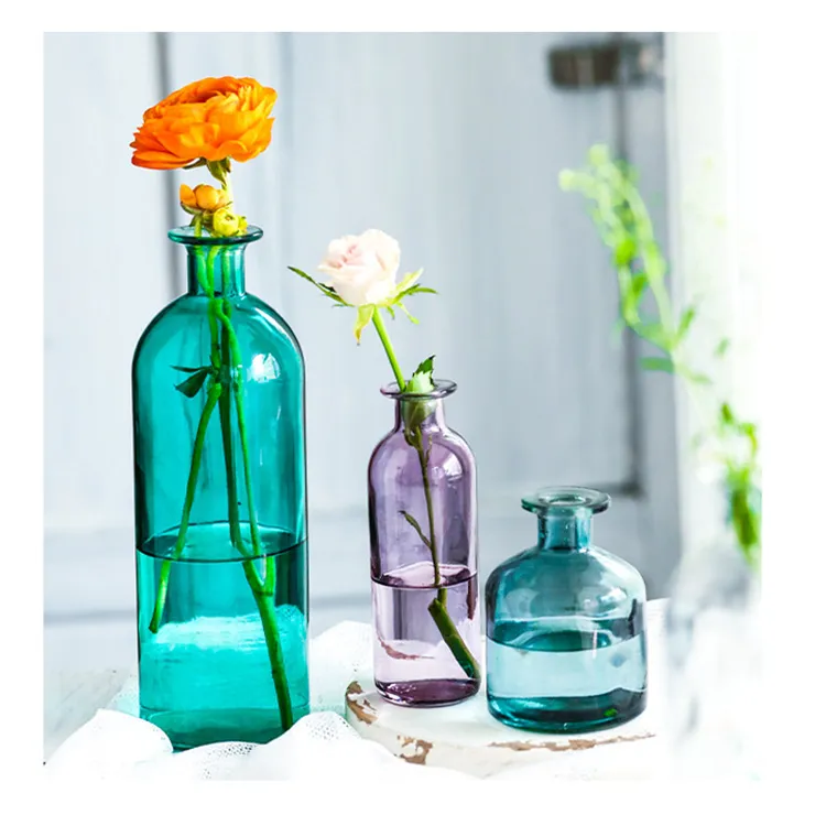 Hot Sale Popular Design Colorful Small Necked Creative Shape Transparent Hydroponic Plant Home Furnishings Glass Vase