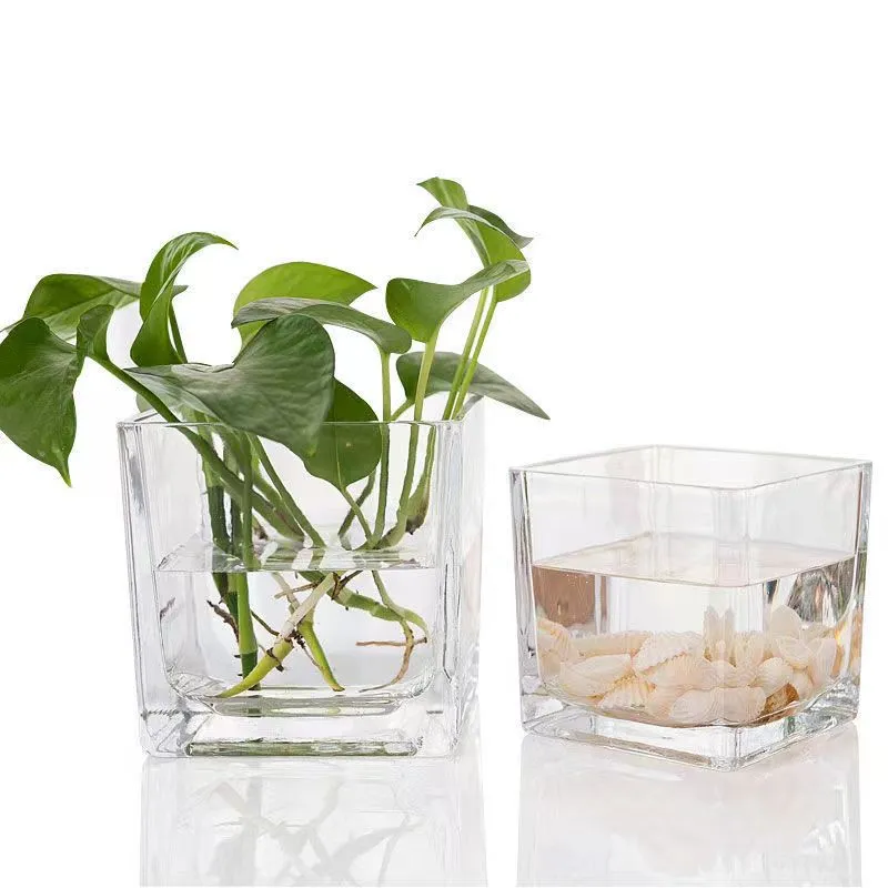 Hot Selling Square Shaped Flower Vase Square Clear Glass Cube Vase Fish Tank Clear Glass Vases