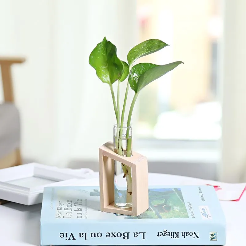 Indoor Hydroponic Plant Terrarium With Wooden Stand Air Planter Tube Glass Vase Retro Tabletop For Home Decoration