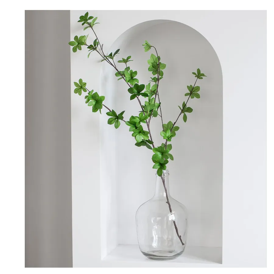 Manufacturer Supplier Thickened Material Simple Style Large Size For Green Plant Glass Vase