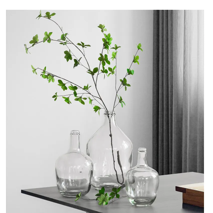 Manufacturer Supplier Thickened Material Simple Style Large Size For Green Plant Glass Vase