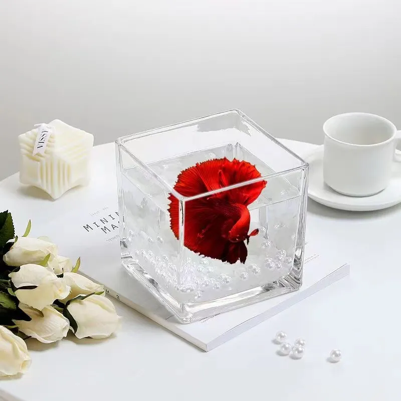 Mini Fish Tanks Betta Fish Tank Aquarium Tank Fish Bowl Building Block For Office Table Decoration