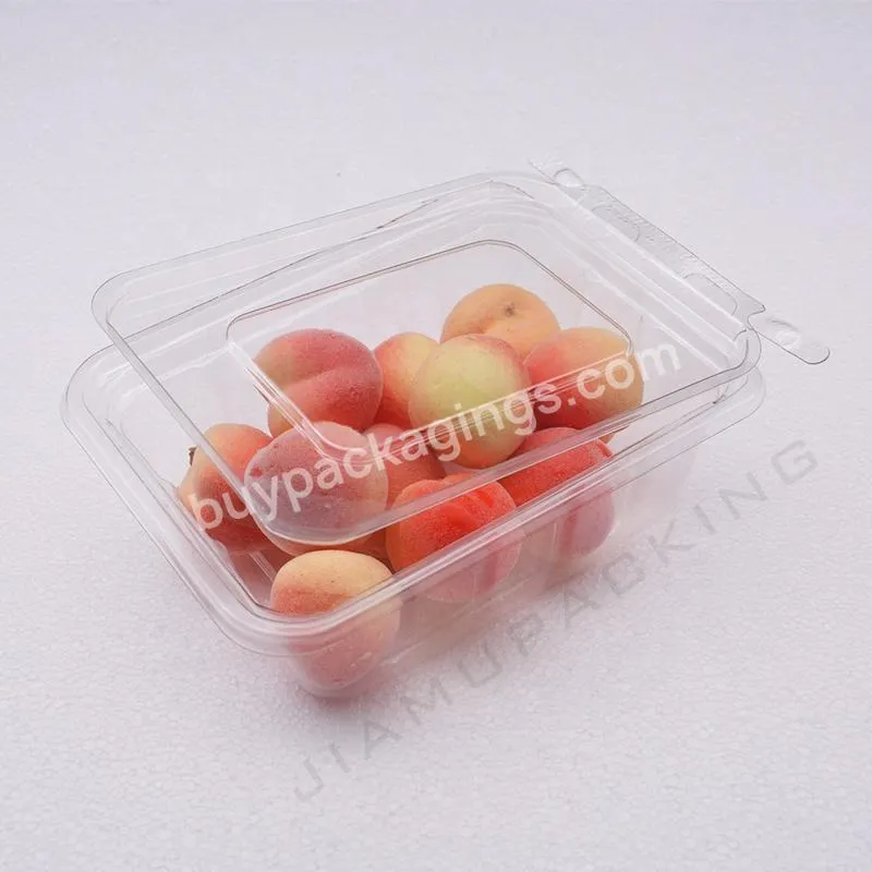 New Arrival Clear Rectangular Salad Box Fruit Food Dongguan Plastic Rectangle Customized Size Jiamu Packing 0.5mm Accept Jmea005