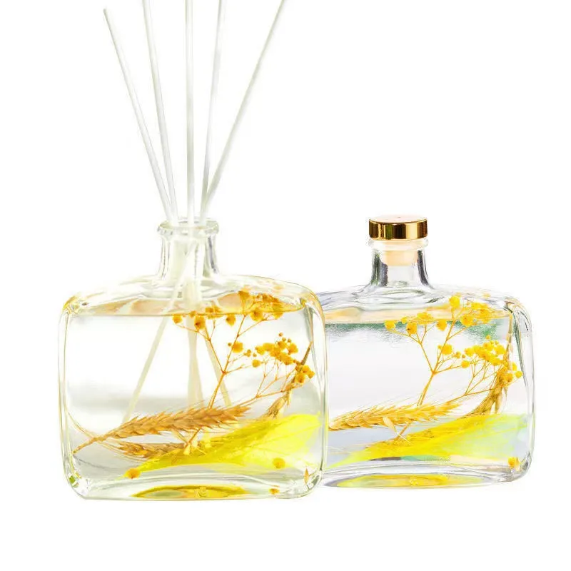 Newest Transparent Square Round Glass Reed Diffuser Bottle Fragrance Perfume Bottle