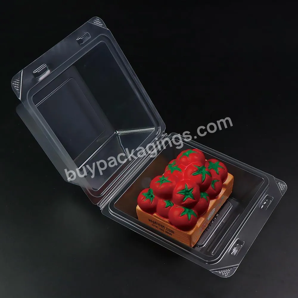 Rigid Cupcake Box Bakery Pet Clamshell Packing Custom Container