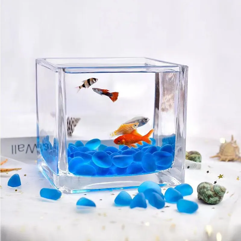 Small Transparent Mini Desktop Aquarium Pet Fish Tank