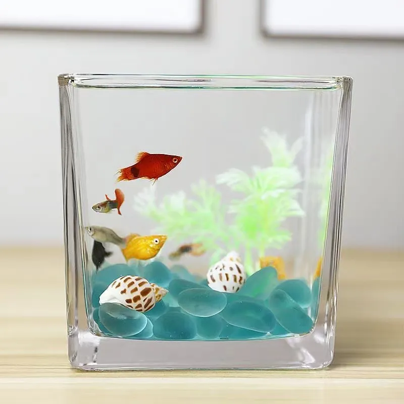 Small Transparent Mini Desktop Aquarium Pet Fish Tank