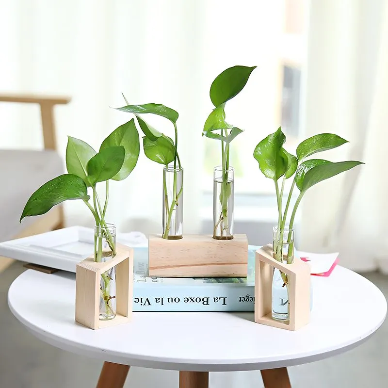 Transparent Glass Test Tube Vase in Wooden Stand Flower Pots for Hydroponic Plants Home Garden Decoration