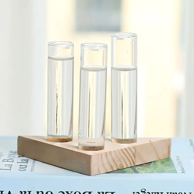 Transparent Glass Test Tube Vase in Wooden Stand Flower Pots for Hydroponic Plants Home Garden Decoration