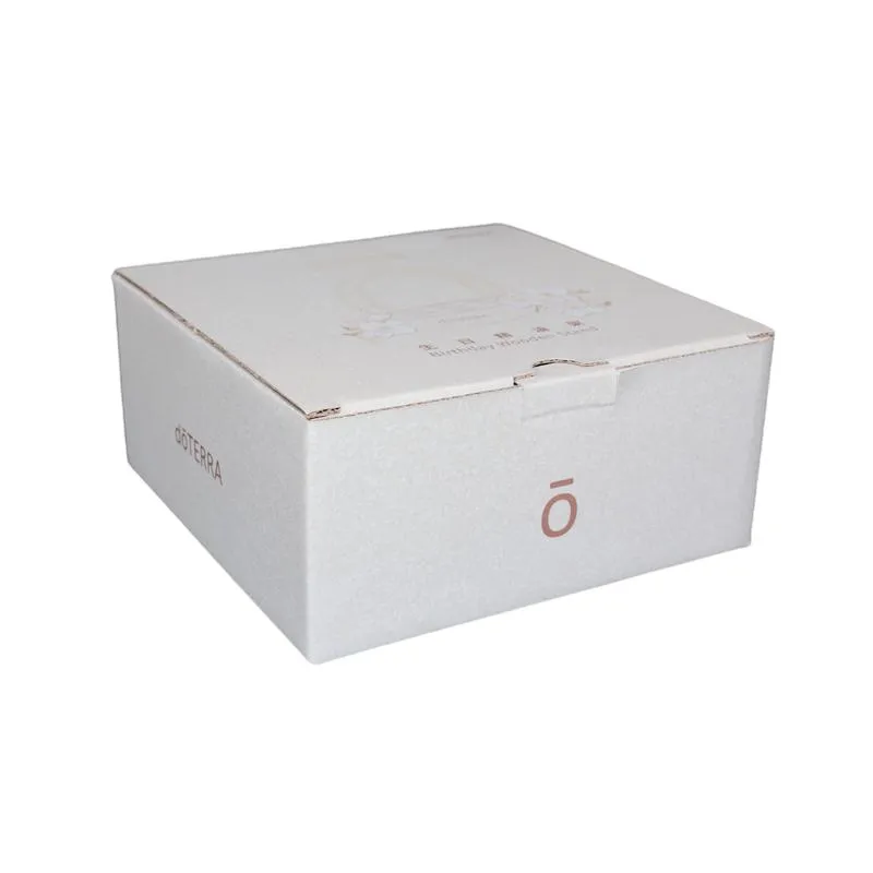 White Costume Mailing Packaging Boxes Design Corrugated Box Supplier Guangdong