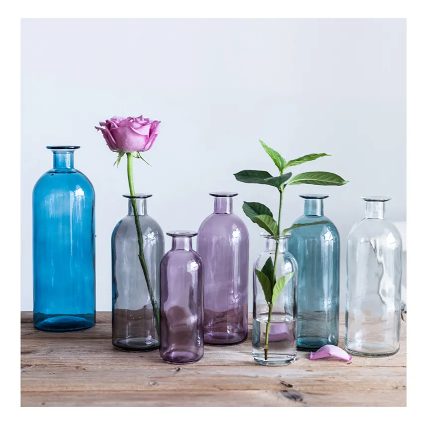 Wholesale Colorful Small Necked Creative Shape Transparent Hydroponic Plant High Quality Material Glass Vase