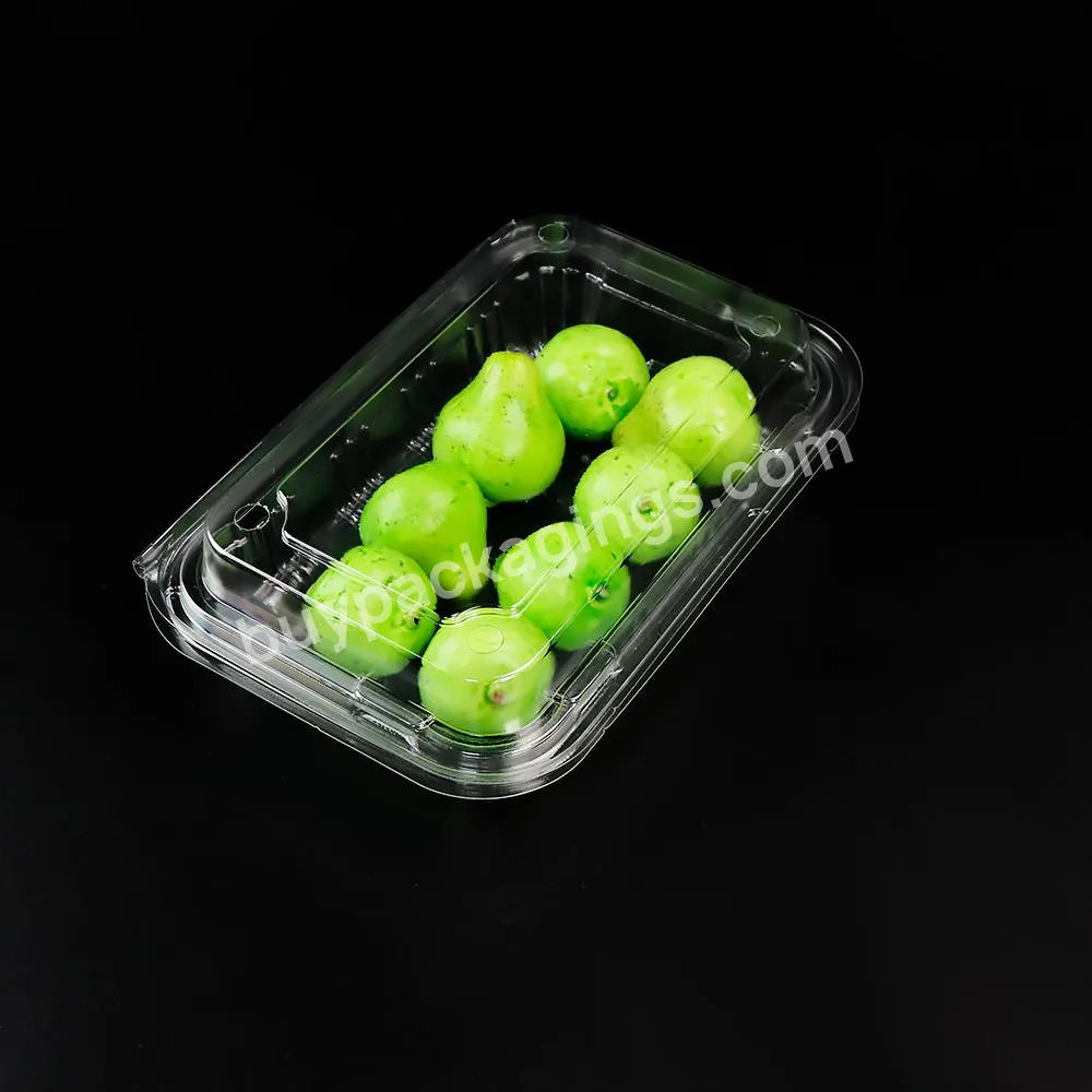 Wholesale Rigid 300g Fruit Box Clamshell 12oz Punnet Packing