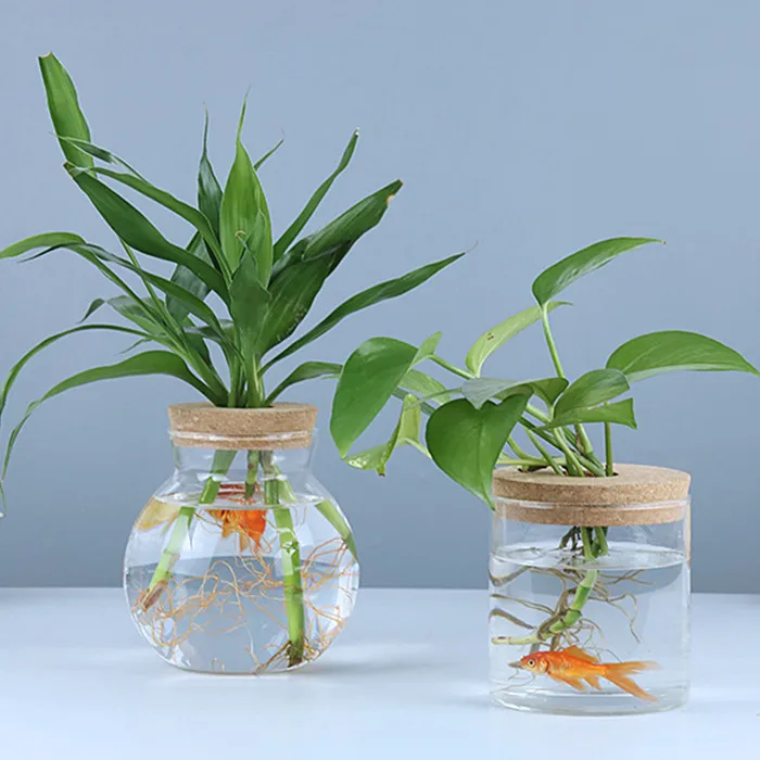 Wholesale Small Flowerpot For Indoor Green Plant Creative Decoration Landscape Cup Glass Bottle