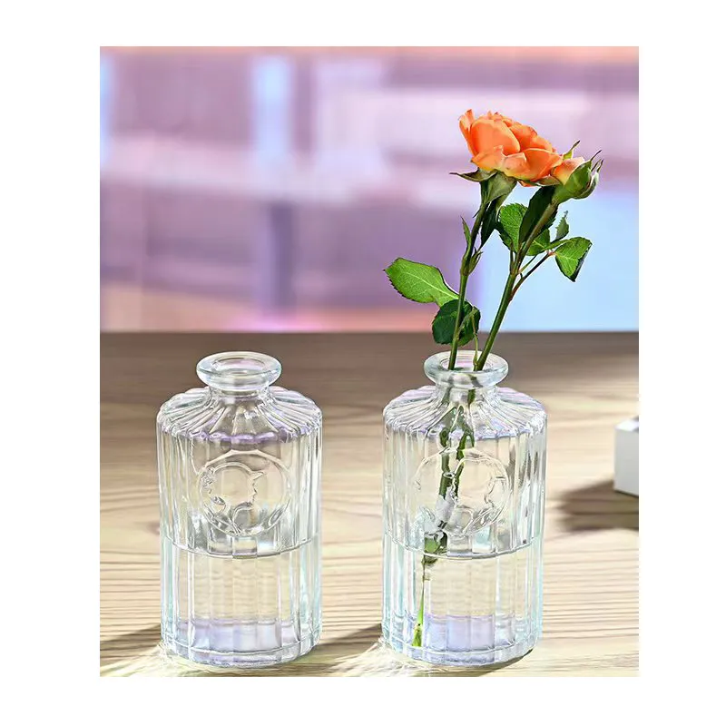 Wholesale Supplier Luxury Style Popular Character Embossed Home Office Table Decoration Creative Glass Vase