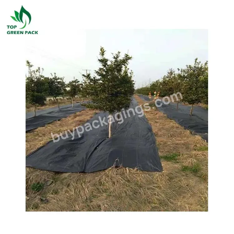 100% Anti Grass Pp Woven Weed Control Cloth,Agro Plant Ground Cover Landscape Fabric,100gsm Black Plastic Weed Barrier Mat