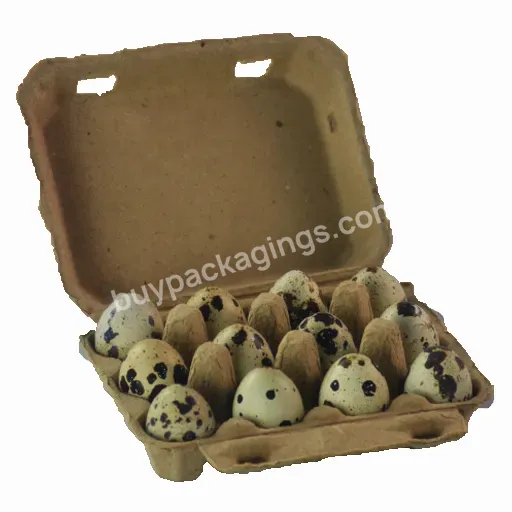 12 Cell Paper Quail Eggs Box Carton Paper Egg Tray Factory Biodegradable Pulp Fiber Sugarcane Bagasse Plastic Free