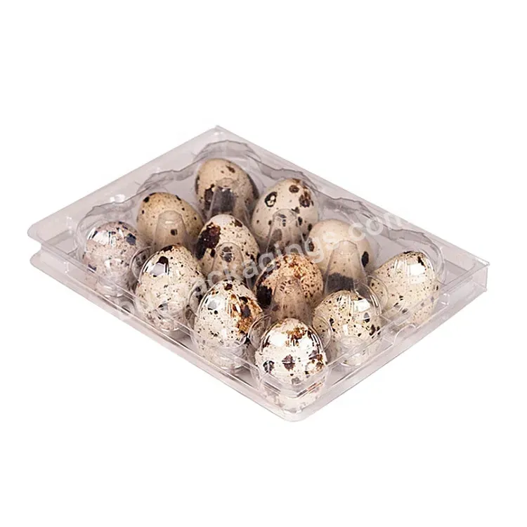 12 Holes Hinged Clamshell Disposable Clear Blister Biodegradable Plastic Quail Eggs Cartons Packaging Egg Trays Manufacturer