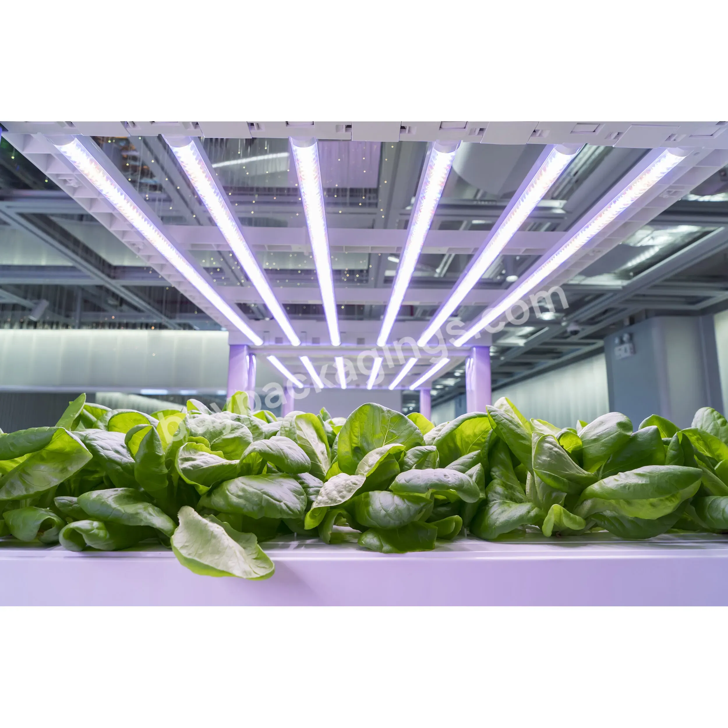 1200w 301b Full Spectrum Indoor Farming Greenhouse Hydroponic Systems Plant Led Lamp Bar Grow Light