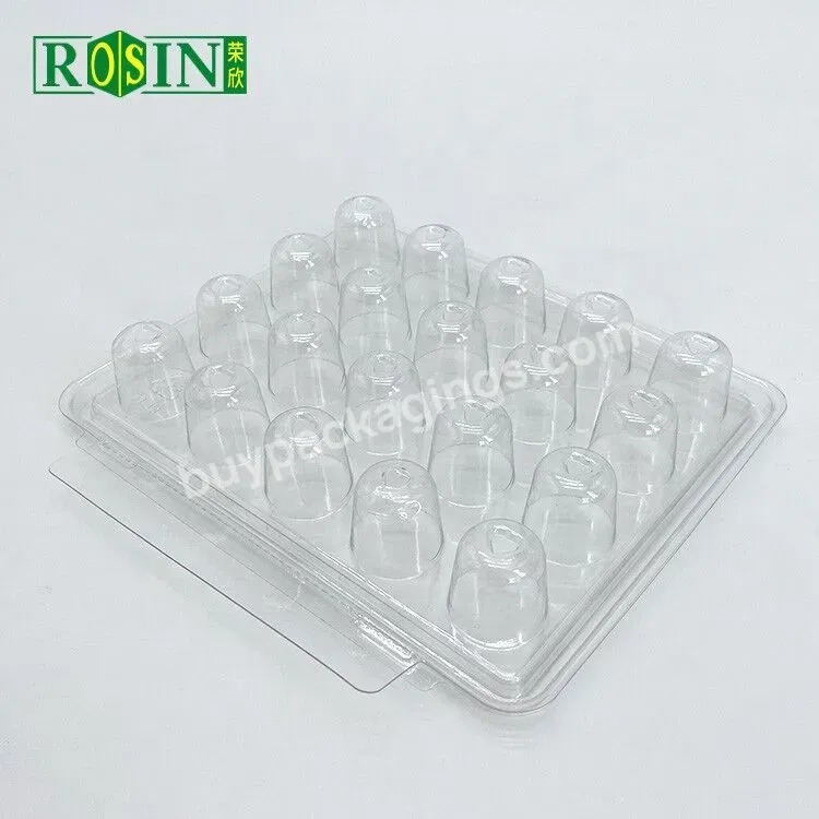 20 Cavity Round Holes Clear Plastic Chocolate Truffle Box Packaging