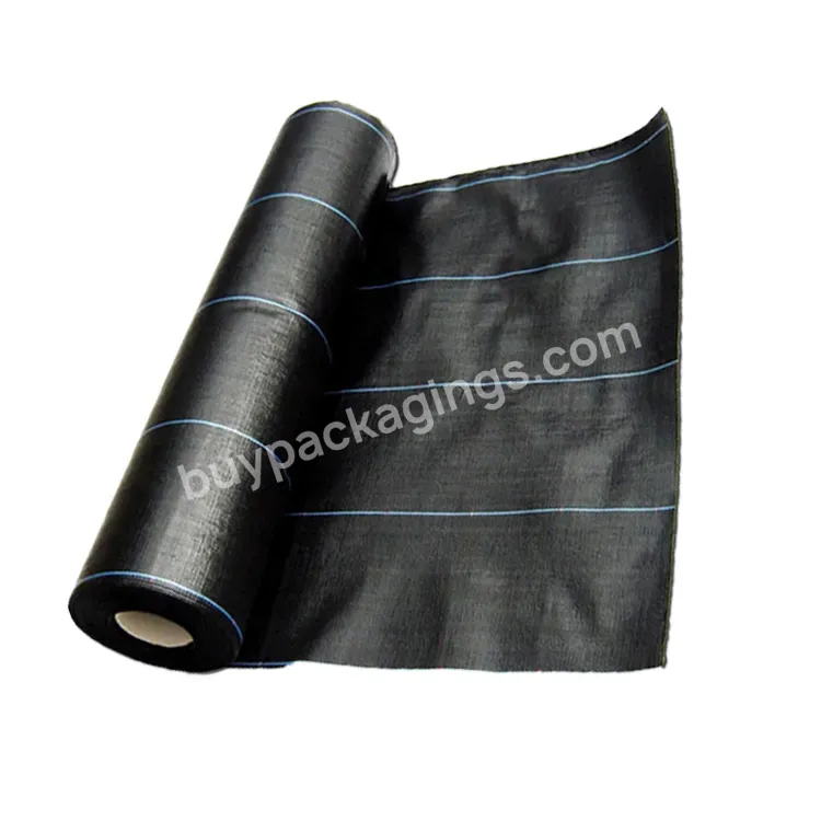 2023 Agricultural Black Prevent Grass Growth Plastic Mulch Film Ground Cover Woven Fabric Roll Pp Ground Cover - Buy Ground Cover,Mulch Film Agriculture Ground Cover,Landscape Ground Cover.