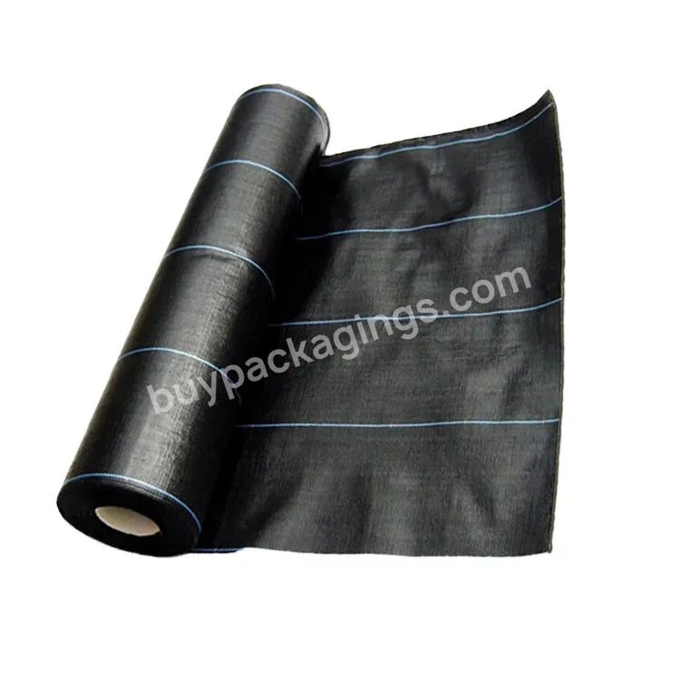 2023 Black Pp Woven Fabric Ground Cover - Buy Geotextile Filter Fabric Ground Cover,Pp Woven Fabric Ground Cover,Black Pp Ground Cover.