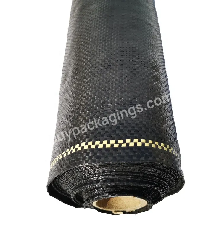 2023 Good Quality Large Plastic Ground Cover - Buy Large Plastic Ground Cover,Polypropylene Geotextile Fabric Ground Cover,Ground Cover For Blueberry.