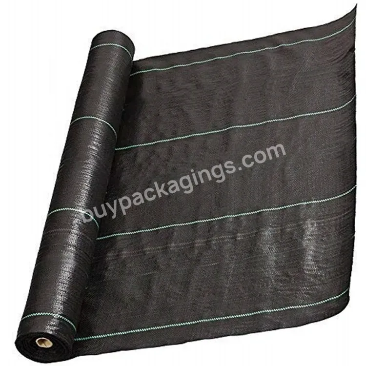 2023 Good Quality Large Plastic Ground Cover - Buy Large Plastic Ground Cover,Polypropylene Geotextile Fabric Ground Cover,Ground Cover For Blueberry.