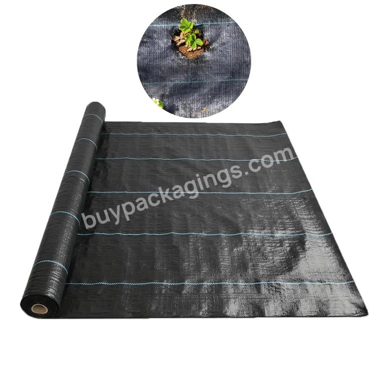 2023 Good Quality Polypropylene Ground Cover Weed Mat