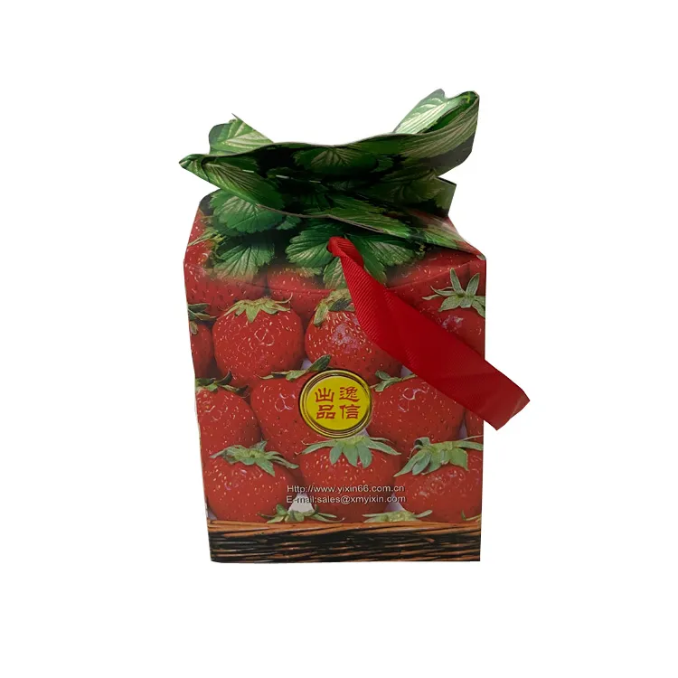 2023 New design Christmas gift packaging custom cardboard box fruits, Nuts paper box with handle