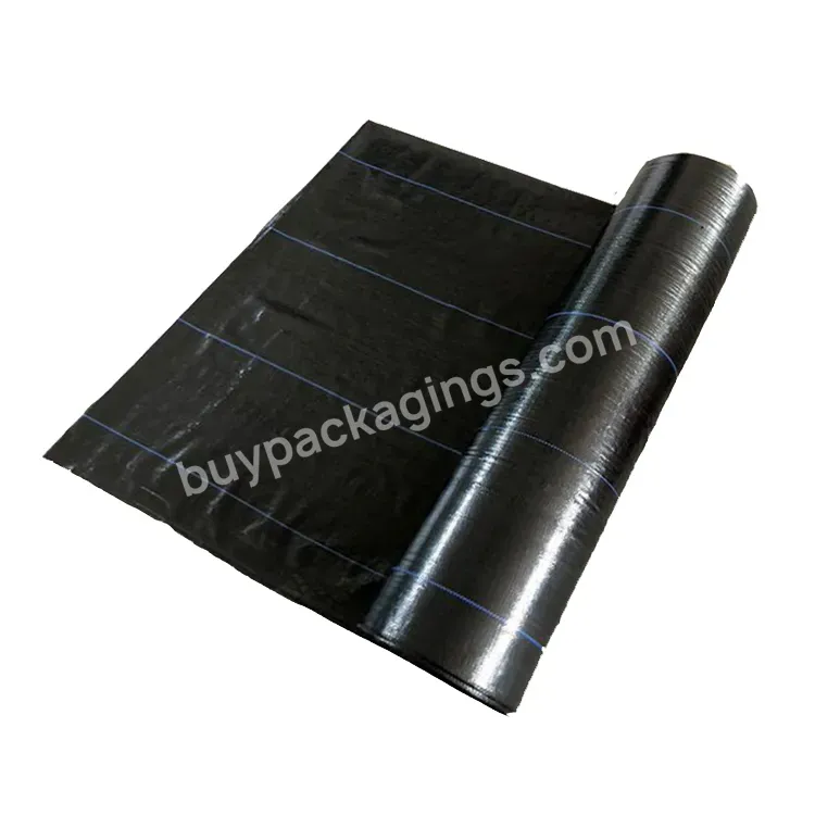 2023 Stabilization Uv Fabric Weed Mat Roll Agricultural Ground Cover Plant Nursery Weed Control Membrane Black Pp Woven Weed Mat - Buy Weed Mat,Ground Cover,Ground Cover Fabric.