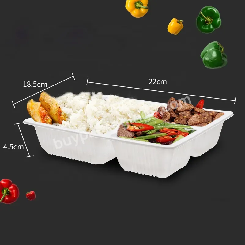 3 Compartment Reusable Meal Prep Plastic Divided Lunch Containers Food Storage Containers With Lids Bento Lunch Box