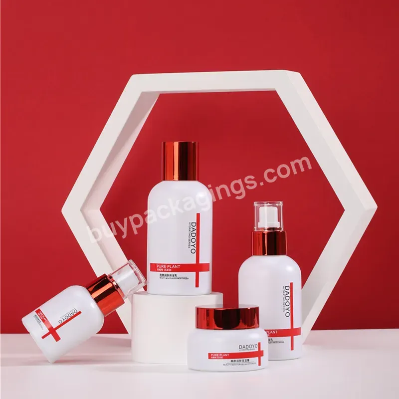 30g 30ml 50ml 100ml Wholesale Whole Set Stock Luxury Cosmetic Packaging Manufacturers Serum Glass Bottle With Spray Pump