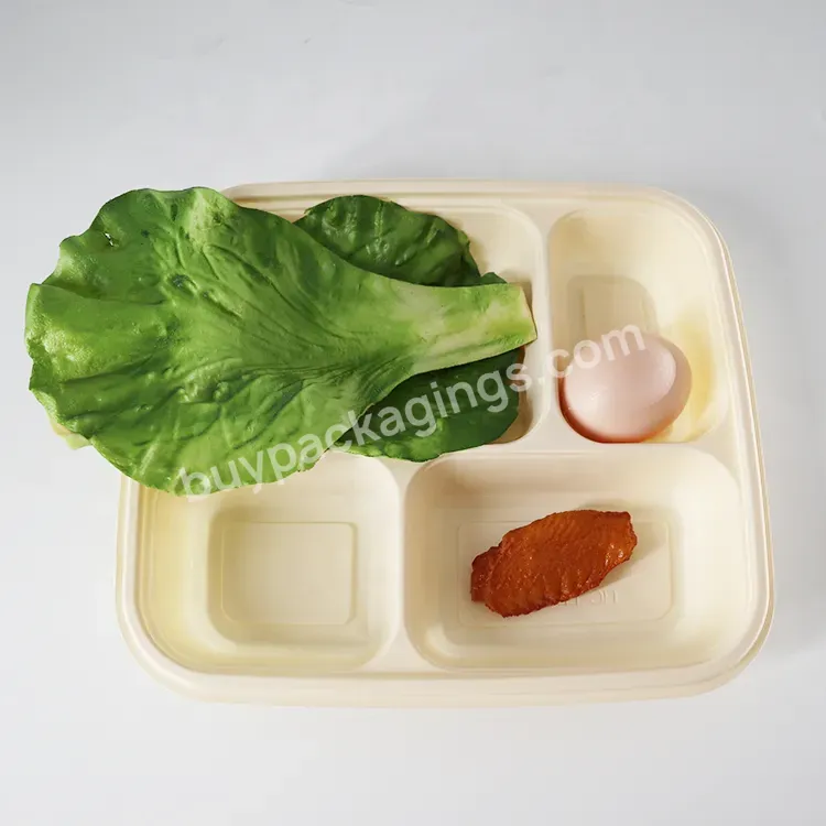 4 Compartment Transparent Pp Pla Biodegradable Corn Starch Disposable Portable Microwave Plastic Bento Lunch Box Mould