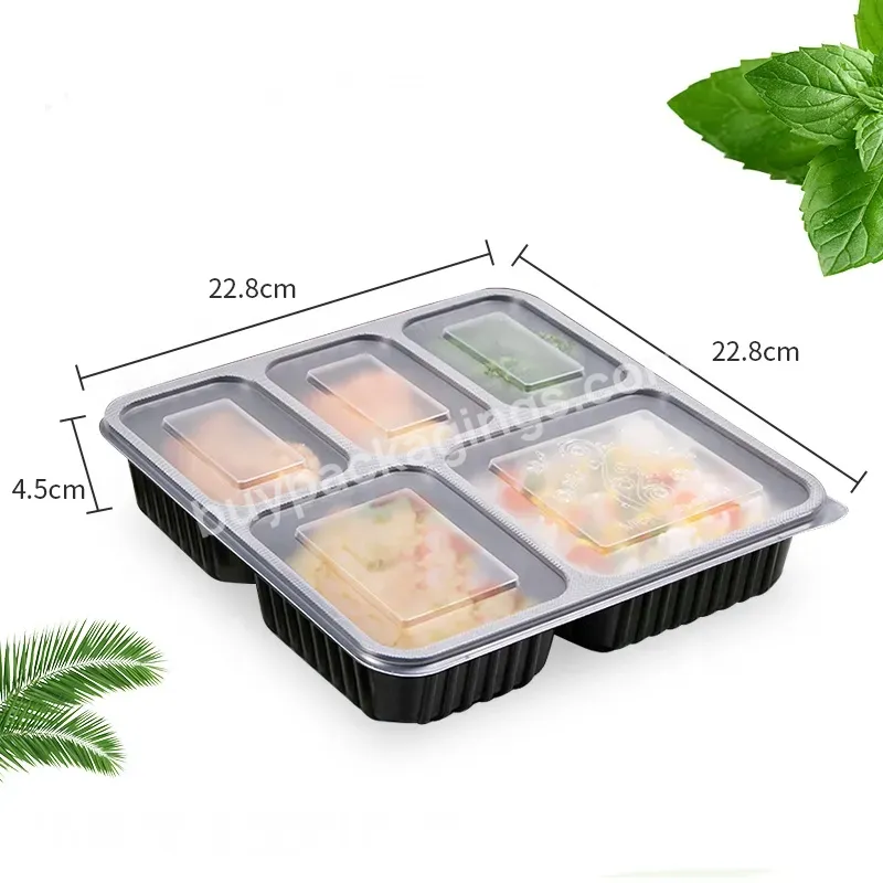 5 Compartments Plastic Food Container Meal Prep Containers Disposable Plastic Container With Divide