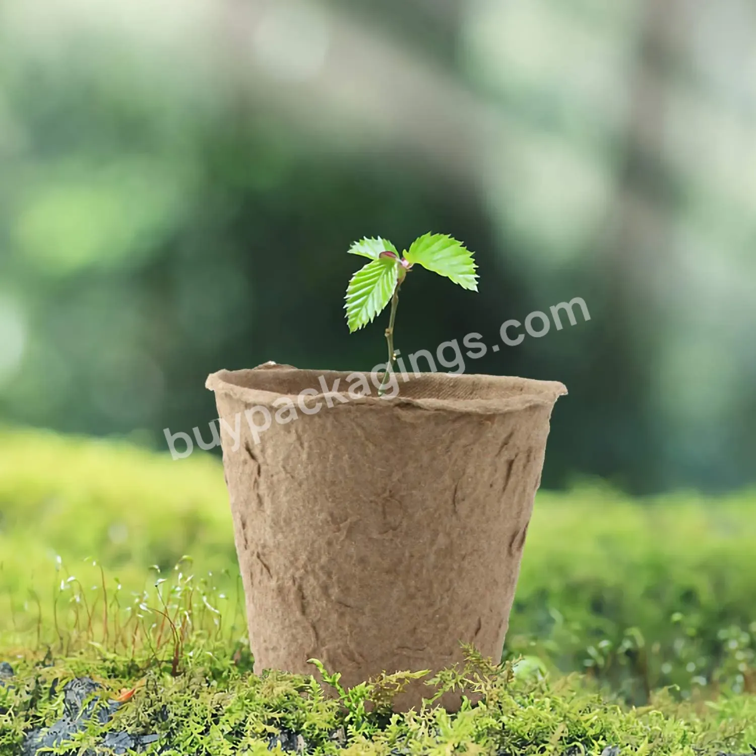 75 Pack 2.4" Peat Nursery Pots For Seedling Pots Organic Biodegradable Paper Pots Herb Seed Starters Kit With 75 Plant Ga