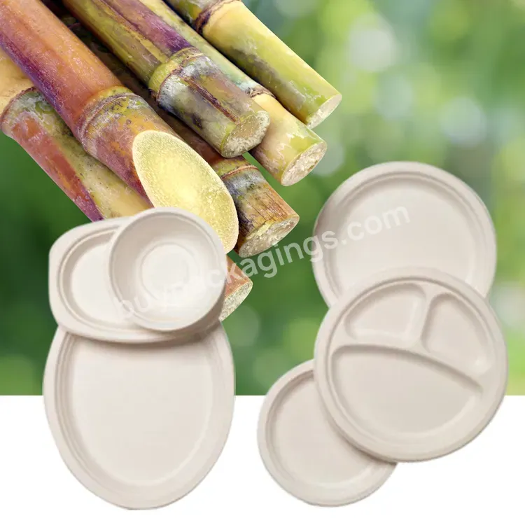 9 10inch Round Oval Disposable Tableware Bagasse Pulp Paper Party Plate Compostable 100% Biodegradable Sugarcane Bagasse Plates - Buy Plates Disposable With Lid,Sugarcane Plate,Sugarcane Bagasse Plates.