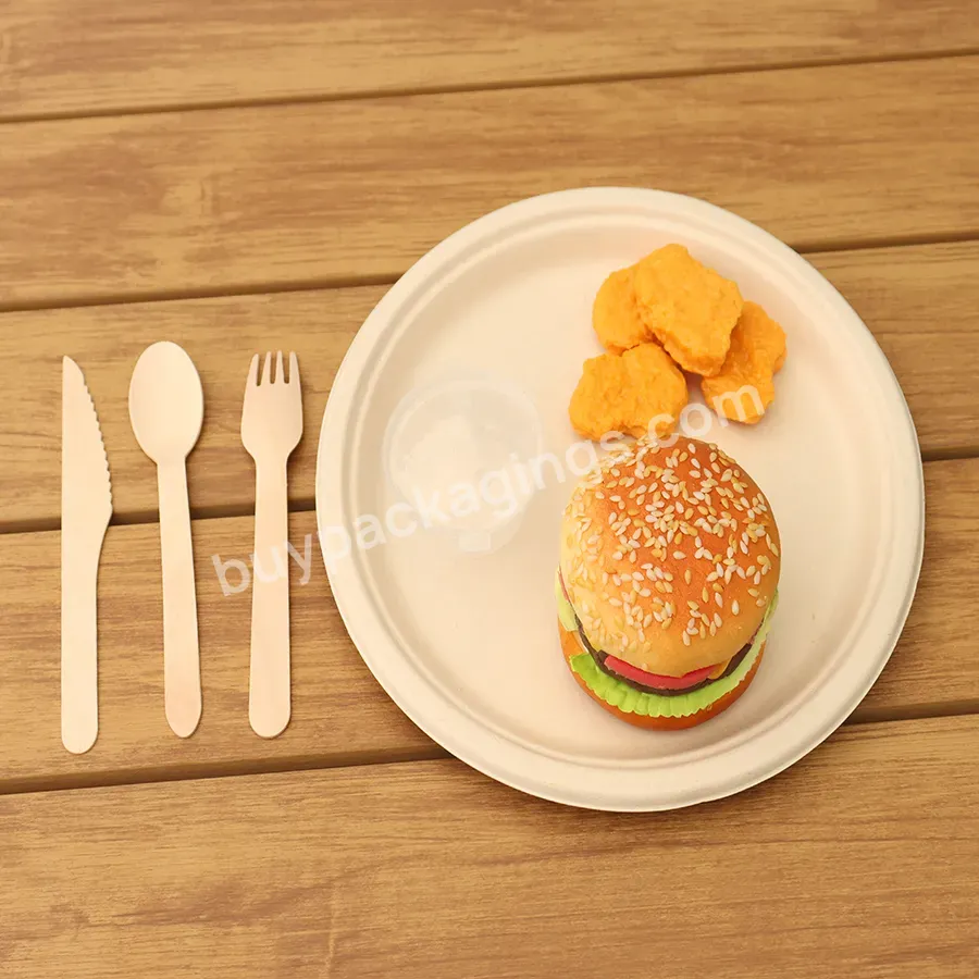 Bagasse Paper Plates Food Grade Bagasse Packaging For Snack Bagasse Tray Factory