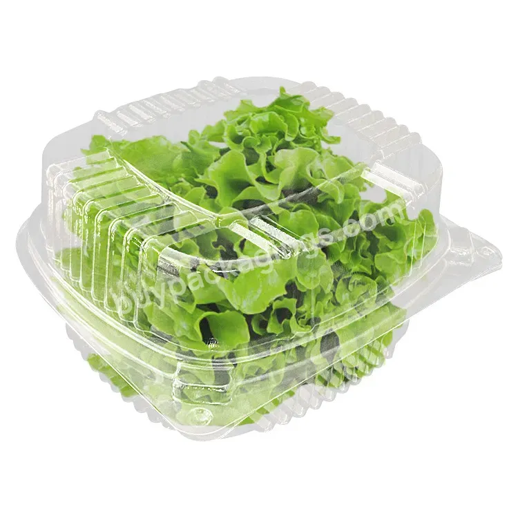 Best Price Vegetable And Fruit Clam Shell Tray Boxes Transparent Lettuce Clamshell Packaging Box