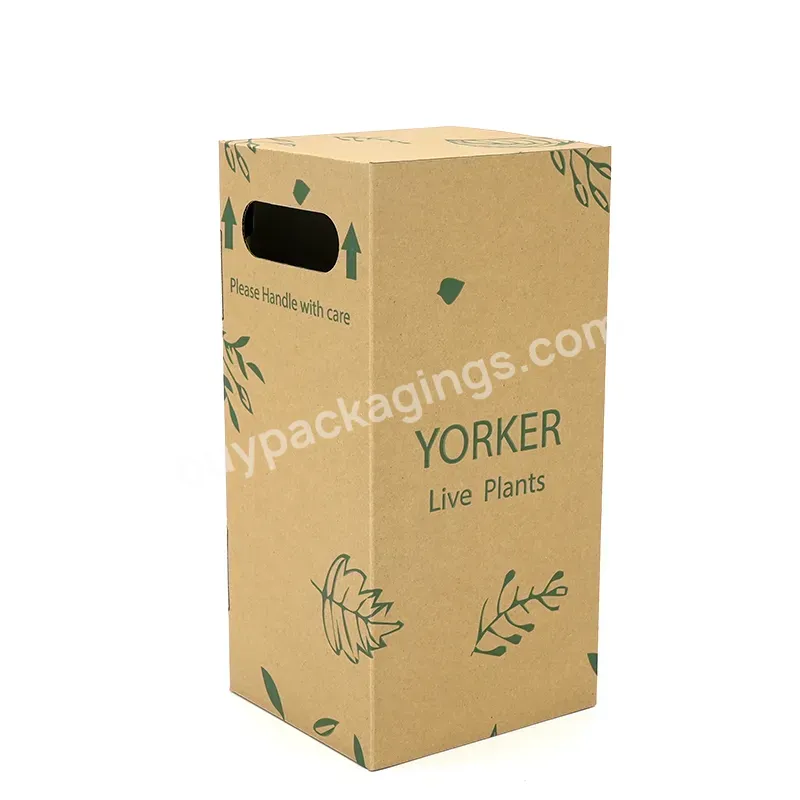 Biodegradable Flower Packaging Box Paper Moving Plant Box Diy