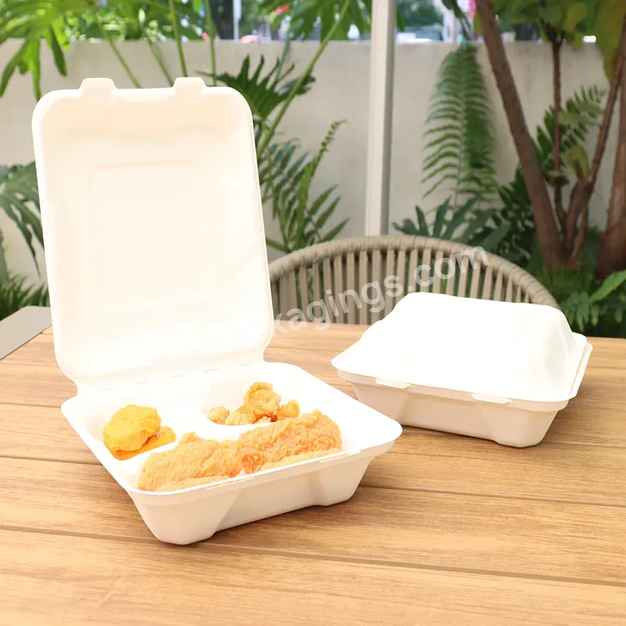 Biodegradable Sugarcane Food Boxes 3-compartments Bagasses Box Take Out Food Containers