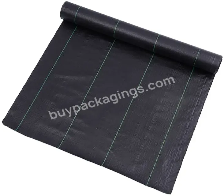 Black Color Ground Cover Roll /ground Cover - Buy Black Color Ground Cover Roll,Polypropylene Geotextile Fabric Ground Cover,Ground Cover Mat.