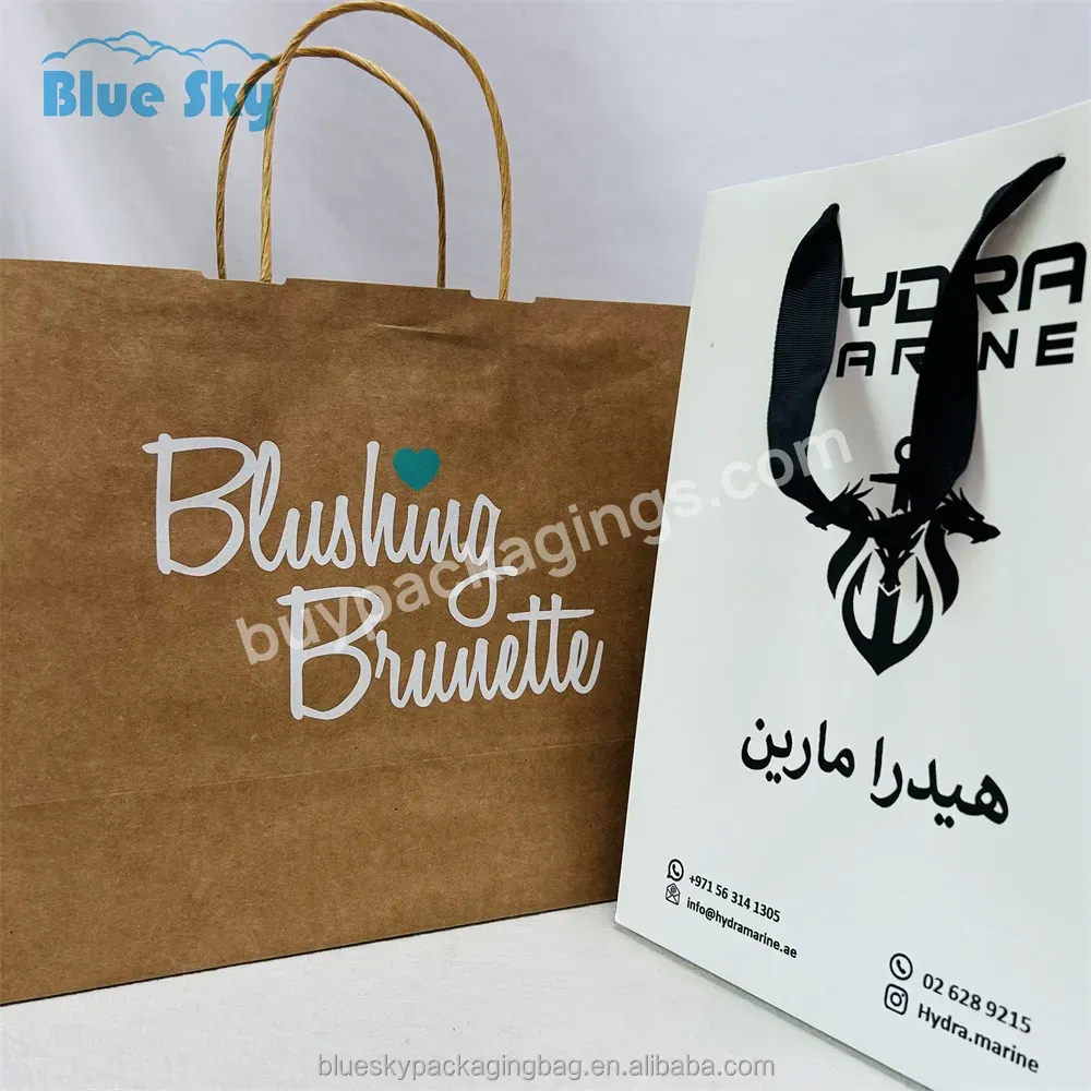 Blue Sky Wholesale Custom Printed Brand Logo Design Promotion Luxury Clothing Retail Gift Shopping Paper Bags With Handling