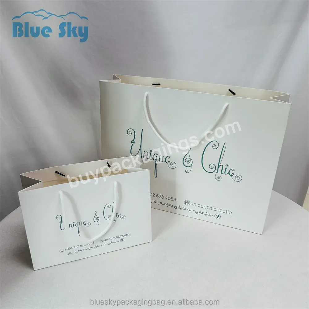 Blue Sky Wholesale Custom Printed Brand Logo Design Promotional Luxury Clothing Gift Shopping Jewelry Paper Bags With Handling