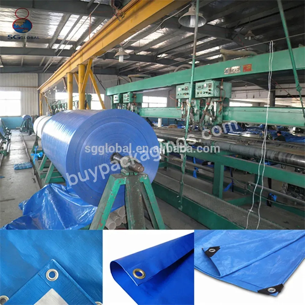 Ce Durable Blue Plastic Coated Waterproof Polyethylene Tarpaulin Pe Large Fabric Rolls