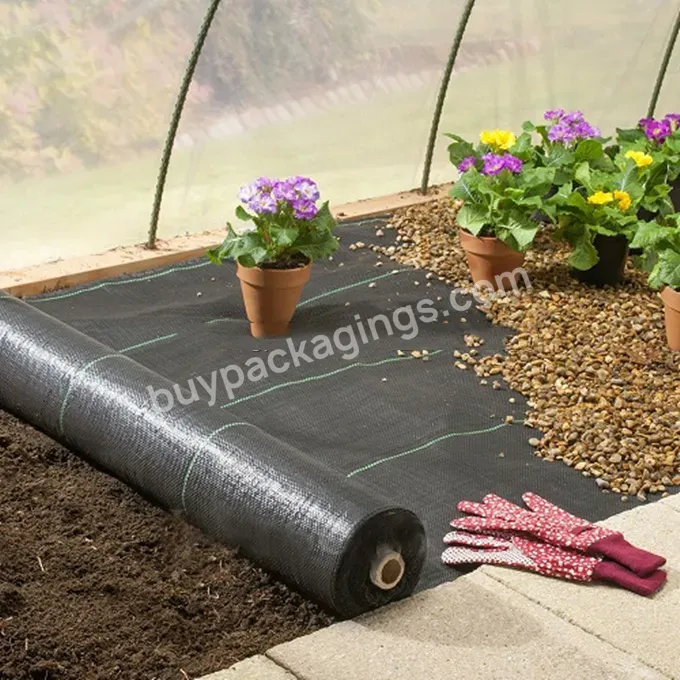 Cheap Weed Mat Cheap Price Garden Weed Control Anti Weed Mat Plastic Ground Cover