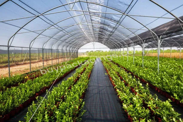 China Custom Uv Treated Agricultural Greenhouses Farming Snail Tunnel Greenhouse Plastic Film