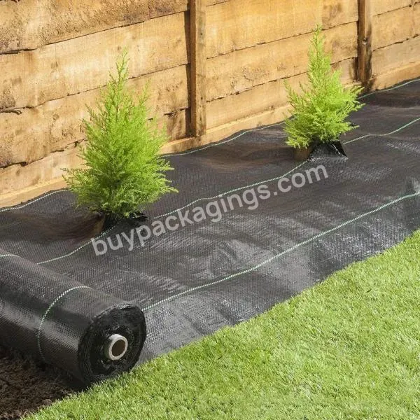 China Factory Polypropylene Fabric Woven Pp Black Weed Mat Ground Cover - Buy Black Plastic Ground Cover,Woven Weed Control Barrier For Outdoor,Pp Woven Landscape Fabric.